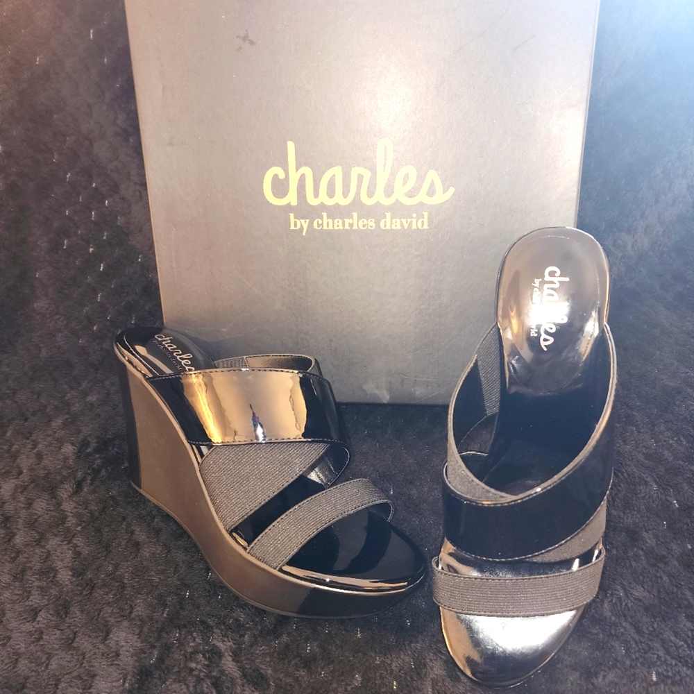 Charles David Black Wedge Sandals